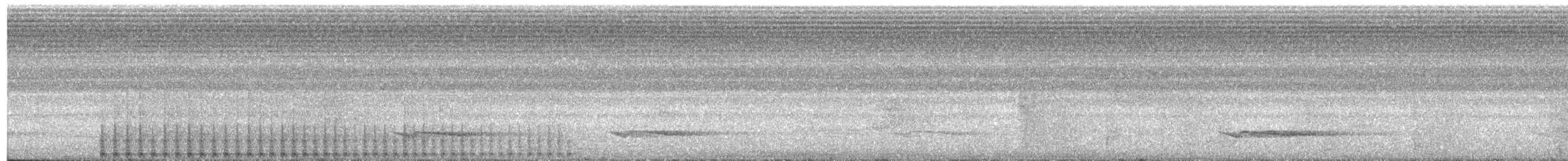 Торомба короткодзьоба - ML619325817