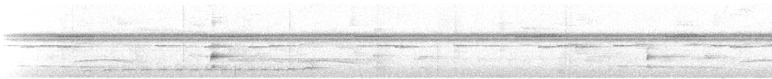 svartnakkemaurvarsler - ML619325841