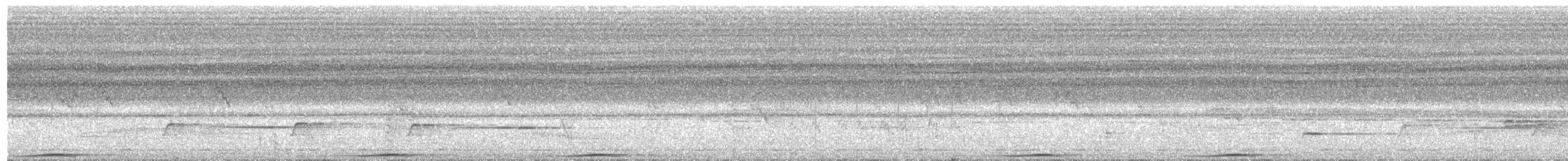 holub černošíjný - ML619325926