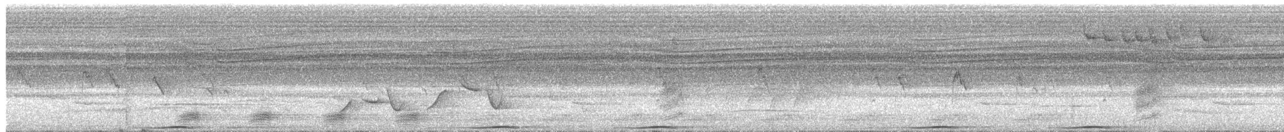 holub černošíjný - ML619325927