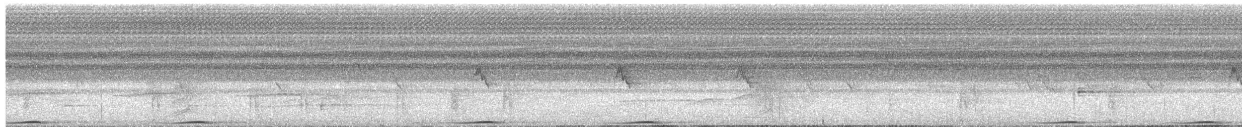 holub černošíjný - ML619325928