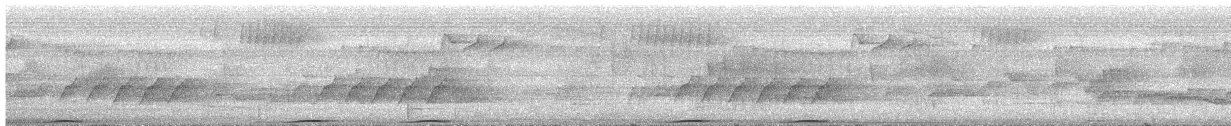 holub černošíjný - ML619325929