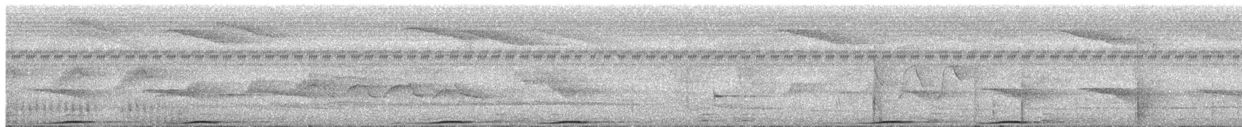 holub černošíjný - ML619325930