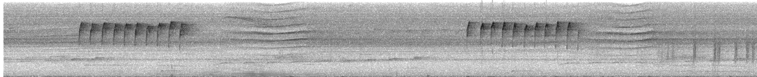 Turuncu Karınlı Öksekuşu - ML619325943