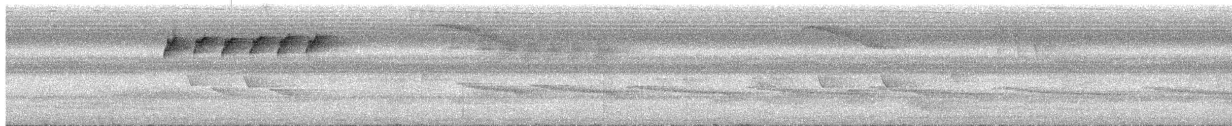 Turuncu Karınlı Öksekuşu - ML619325944