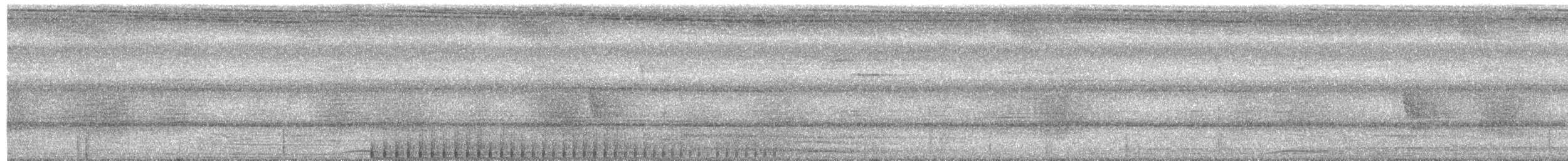 Ak Karınlı Kara Ağaçkakan - ML619325952