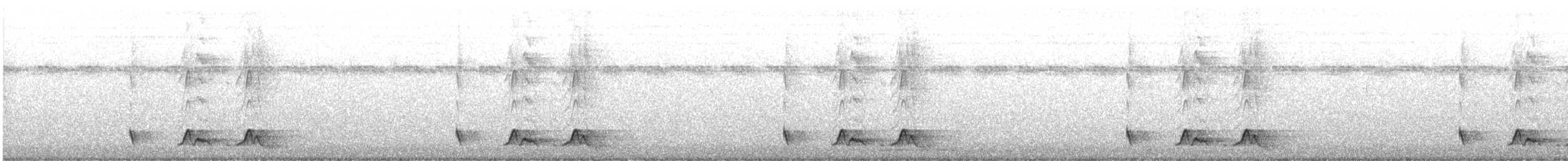 Chuck-will's-widow - ML619326449