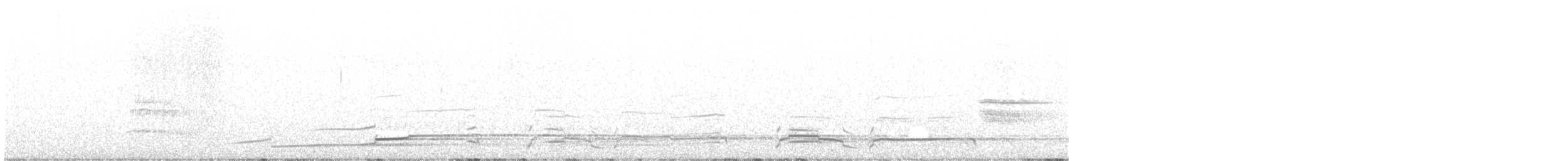 Plongeon huard - ML619326834