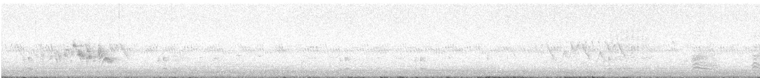 Braunaugenvireo (pusillus) - ML619327876