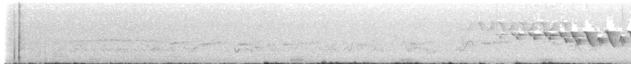 Yellow-throated Warbler - ML619329978