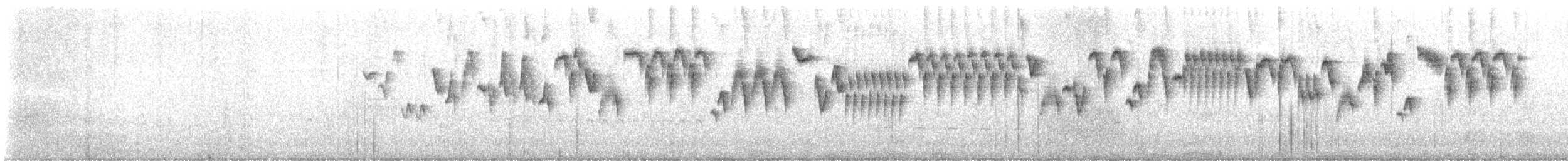 Troglodyte de Baird - ML619330818