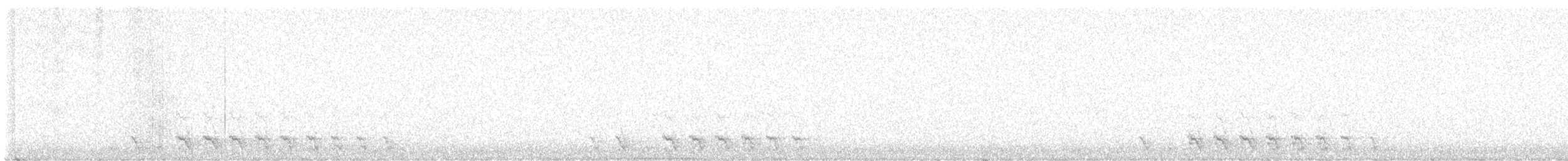 Chevêchette des saguaros - ML619330838
