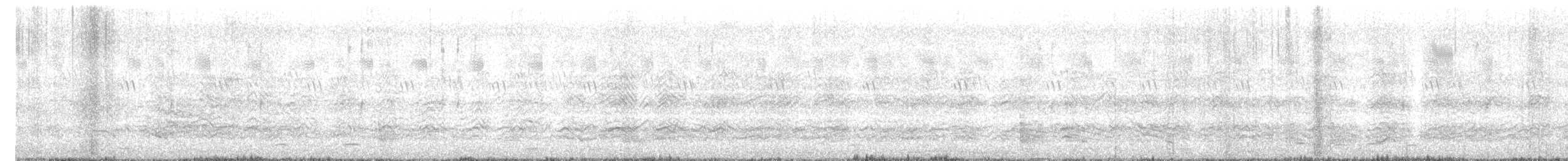 Large Gray Babbler - ML619331227
