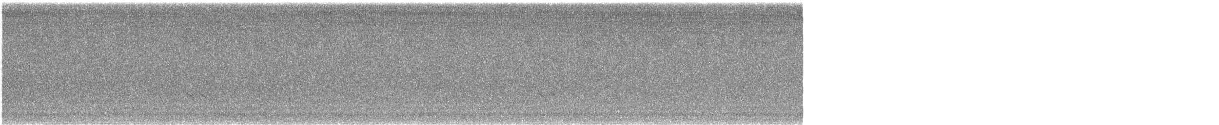 Короткоклювый бекасовидный веретенник - ML619334562