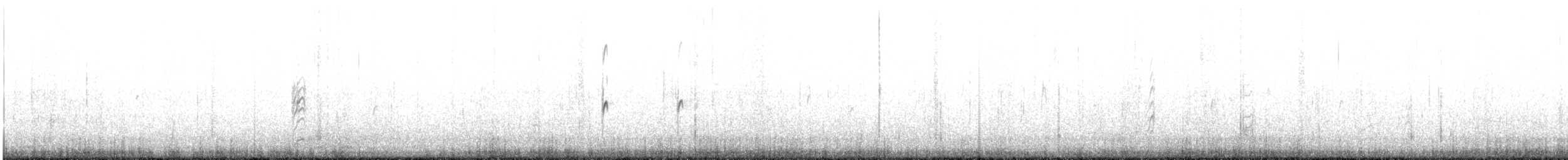 Little Tern - ML619335697