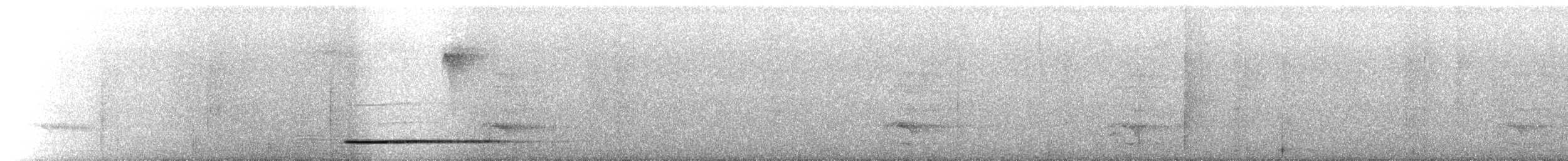 Thicket Tinamou - ML619338024