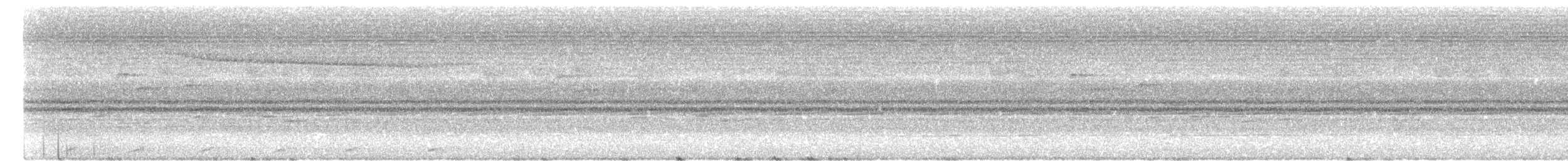 Little Cuckoo-Dove - ML619338478