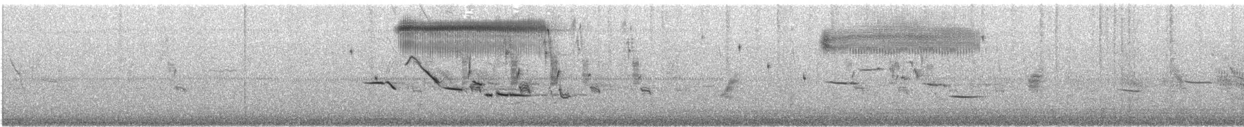 Grasshopper Sparrow - ML619338905