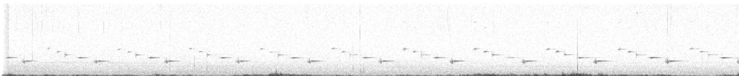 Psophode carillonneur - ML619339200