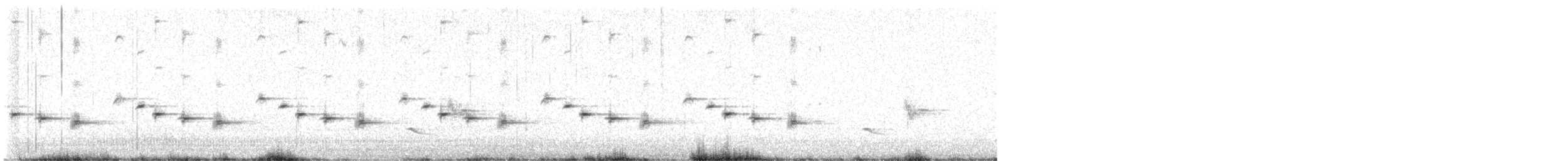 Psophode carillonneur - ML619339201