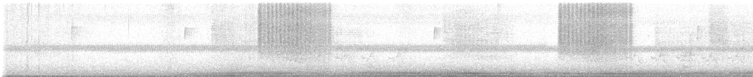 Eastern Screech-Owl - ML619340726