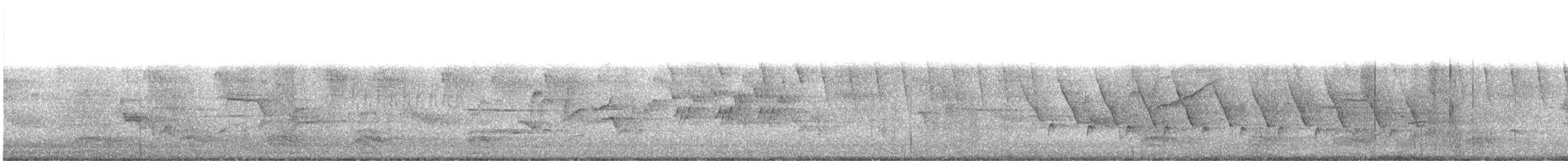 Черногорлая хвойница - ML619340827