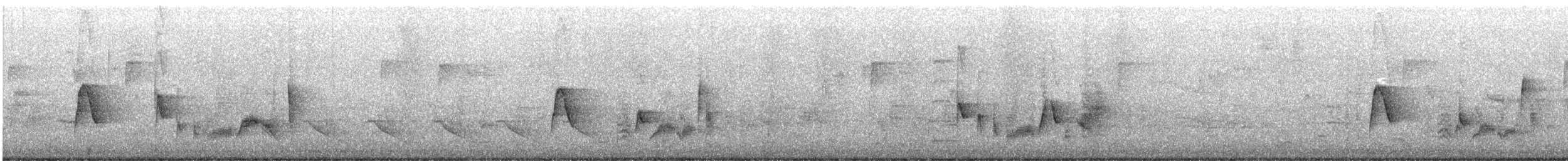 Viréo aux yeux blancs - ML619341520