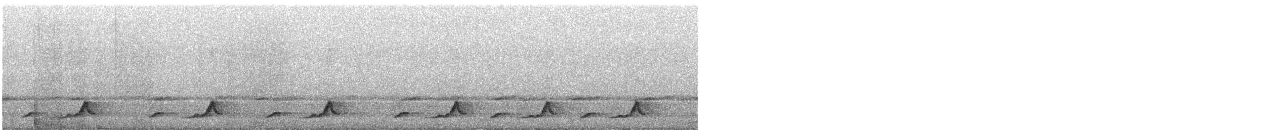 Schwarzkehl-Nachtschwalbe - ML619342505
