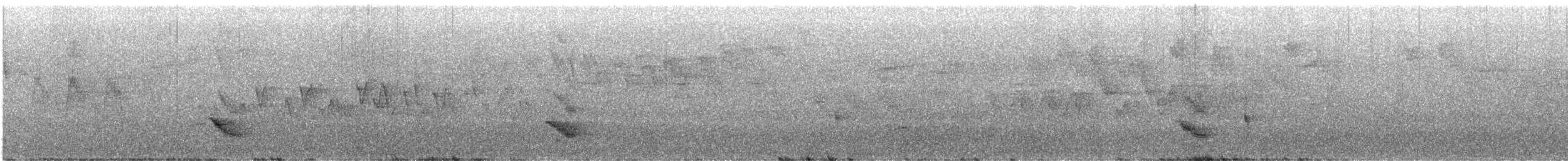 Дрізд-короткодзьоб бурий - ML619343077
