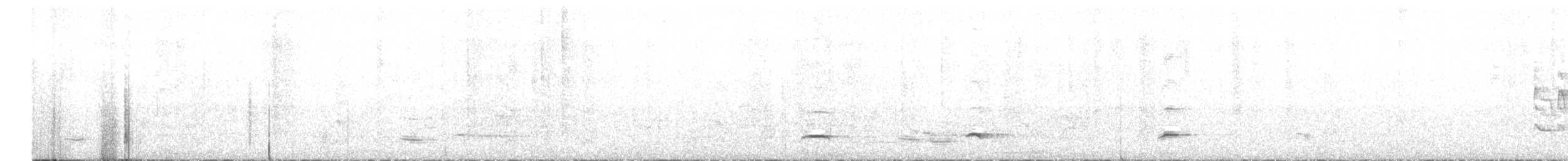 Beyaz Belli Şama - ML619343818