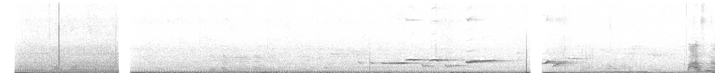 White-rumped Shama - ML619343917