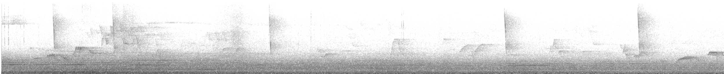 Дрізд-короткодзьоб Cвенсона - ML619344667