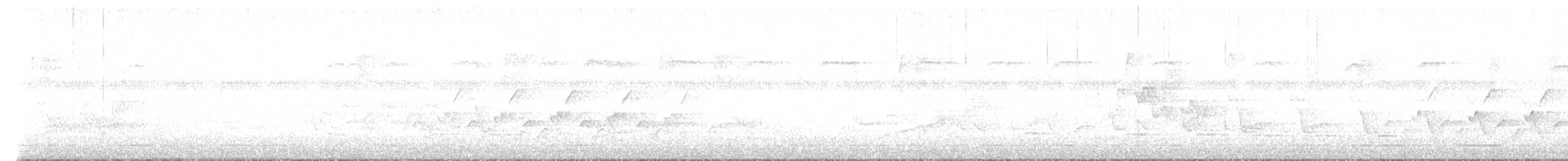 Waldsänger, unbestimmt - ML619346216