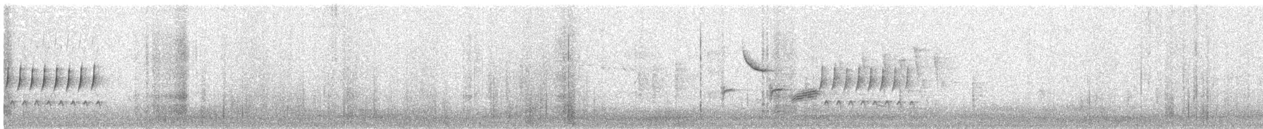 Troglodyte de Bewick - ML619346972