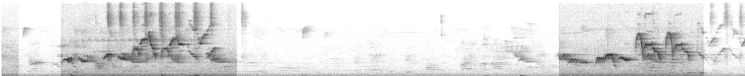 Дрізд-короткодзьоб Cвенсона - ML619347404