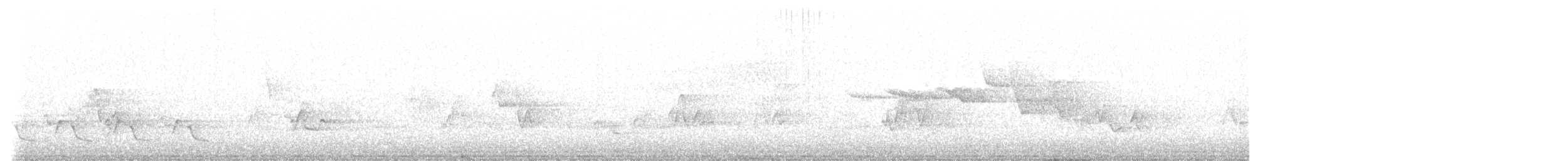 Swainson's Warbler - ML619348337