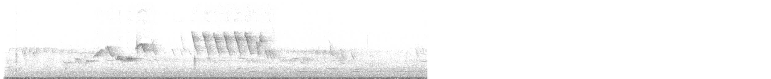 Wilson's Warbler - ML619348903