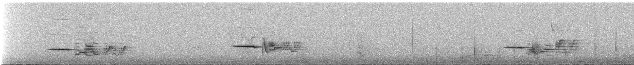 Дрізд-короткодзьоб плямистоволий - ML619351189