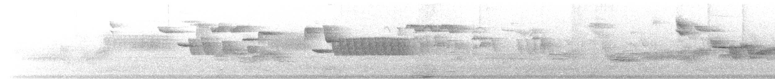 gråfluesnapper - ML619352759