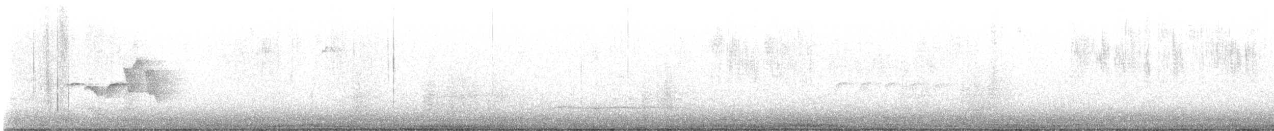 Hooded Warbler - ML619354067