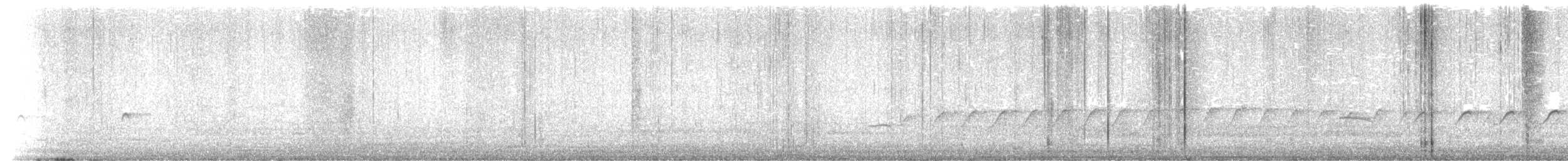 Spotted Sandpiper - ML619355288