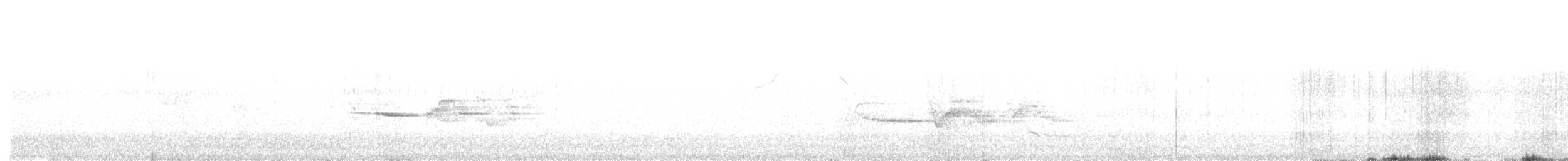 Дрозд-отшельник - ML619355469