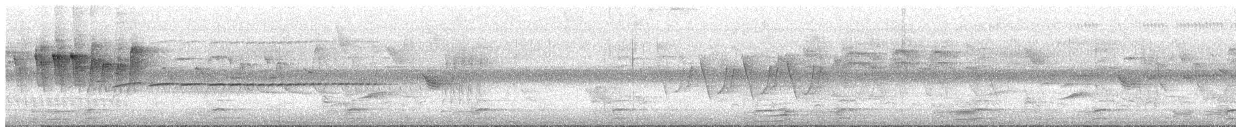 Paruline à calotte noire - ML619355565