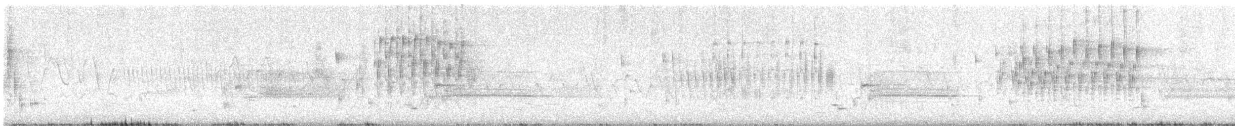 Troglodyte des marais - ML619355591