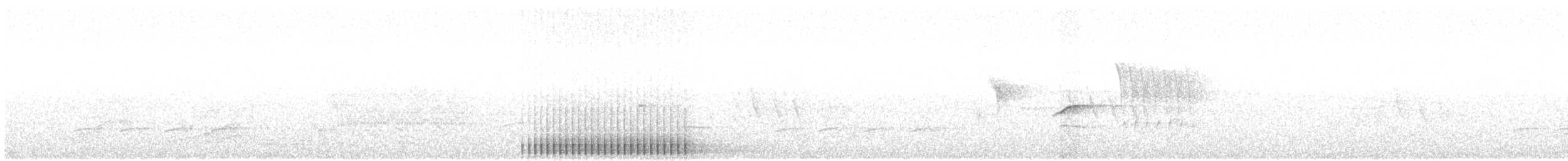strakapoud americký - ML619355687