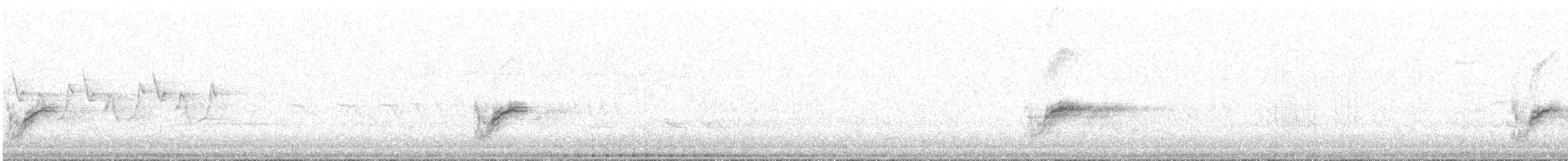 טואי אדום-עין - ML619355706