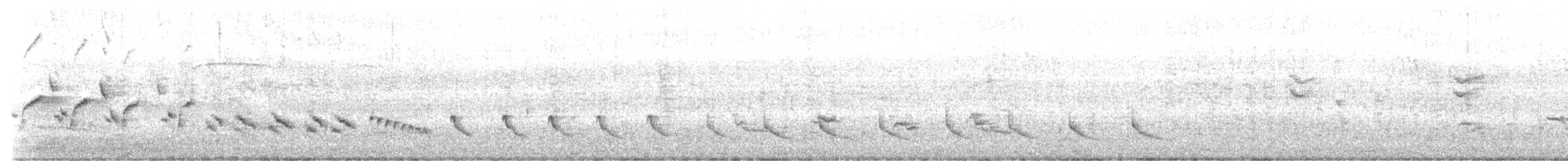 Northern Mockingbird - ML619355926