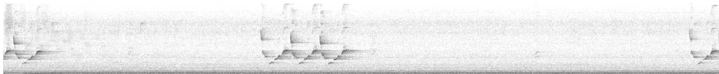 Каролинский крапивник - ML619356255