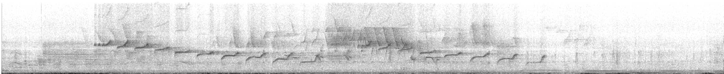 Каньонный крапивник - ML619356497