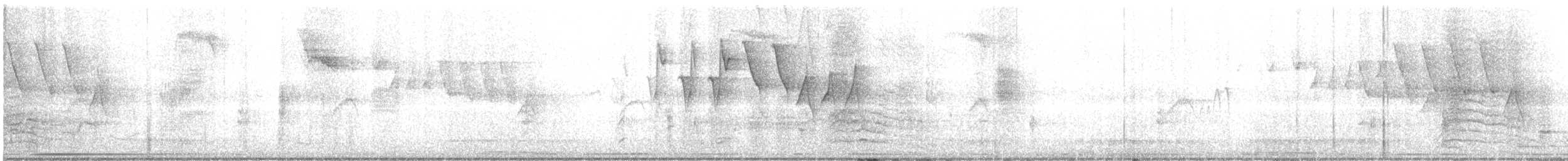 Пересмішник сірий - ML619356547